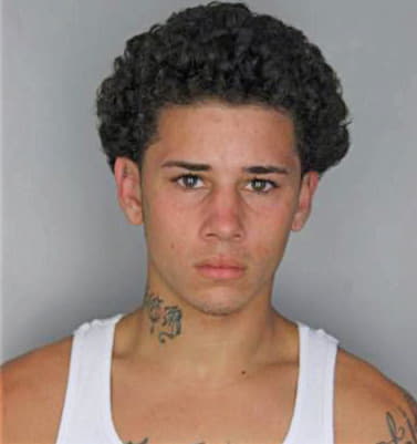 Ramirez Nicolas - Hillsborough County, FL 