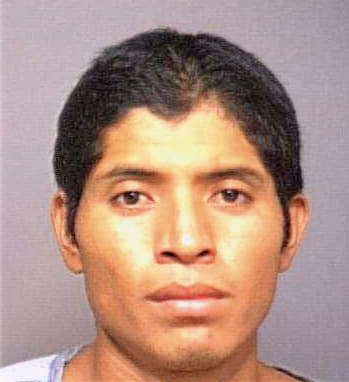 Dominquez Jose - Marion County, FL 