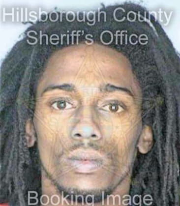 Hansell Vanzini - Hillsborough County, FL 