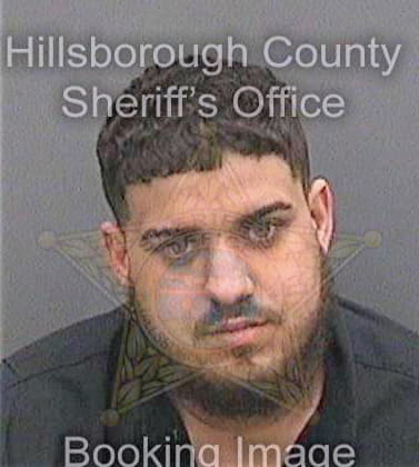 Feijoo Augusto - Hillsborough County, FL 