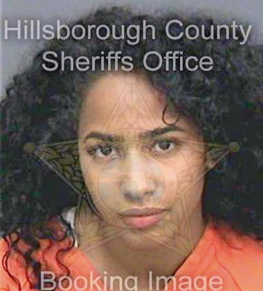 Singh Nicovi - Hillsborough County, FL 