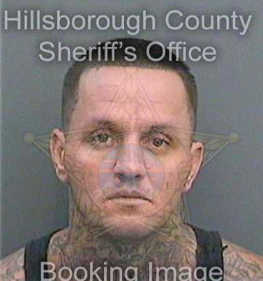 Mclaughlin Shane - Hillsborough County, FL 