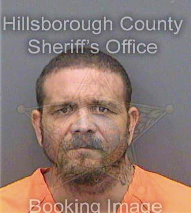 Simmons Reginald - Hillsborough County, FL 