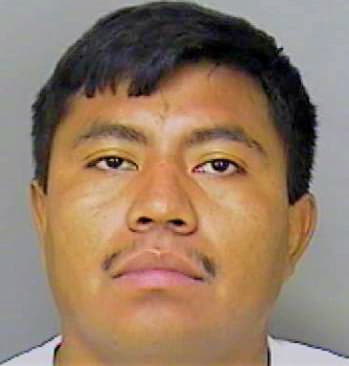 Martinezgarcia Isaias - Polk County, FL 