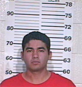 Silva Juan - Hidalgo County, TX 