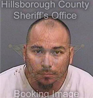 Fuentes Arturo - Hillsborough County, FL 