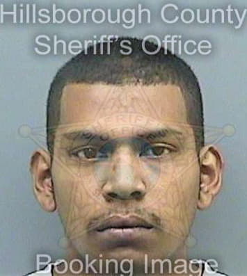 Correanieva Cesar - Hillsborough County, FL 