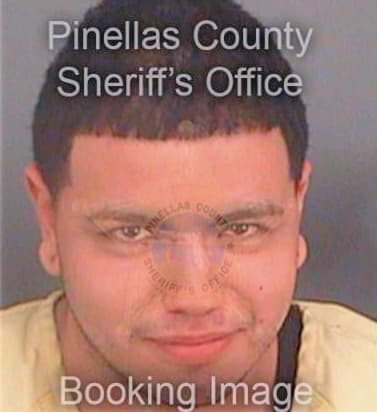 Lopez Daniel - Pinellas County, FL 