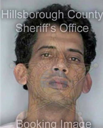 Nunez Luis - Hillsborough County, FL 