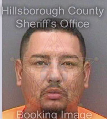 Nevares Miguel - Hillsborough County, FL 