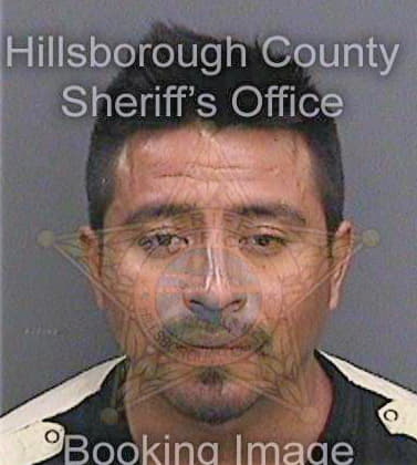 Carbajal Pedro - Hillsborough County, FL 