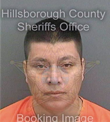 Martinezperez Rolando - Hillsborough County, FL 