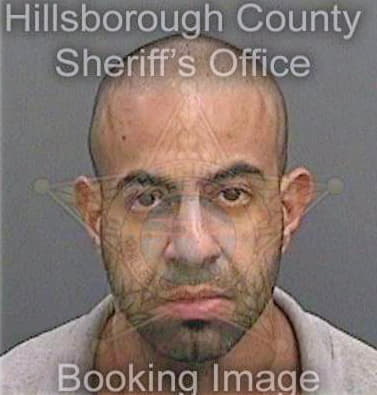 Mansour Karimeldin - Hillsborough County, FL 