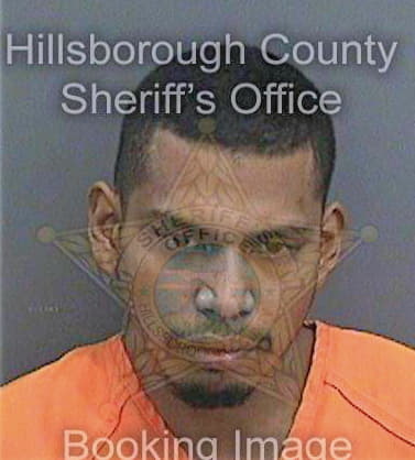 Correanieva Cesar - Hillsborough County, FL 