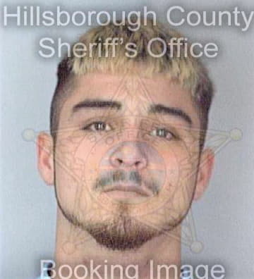 Reimann Pablo - Hillsborough County, FL 