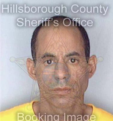 Martinez Hector - Hillsborough County, FL 