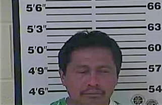 Hernandez Virgilio - Carter County, TN 