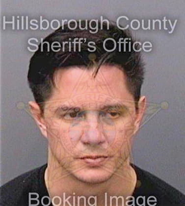 Liu David - Hillsborough County, FL 