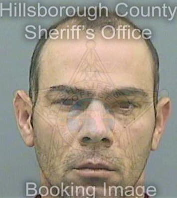 Rodriguez Francisco - Hillsborough County, FL 