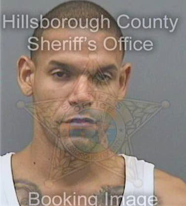 Martinez Miguel - Hillsborough County, FL 