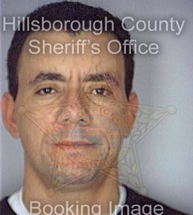 Medina Ruben - Hillsborough County, FL 