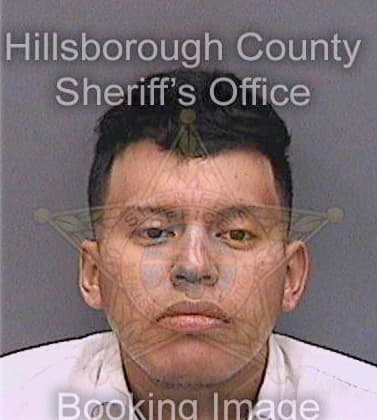 Vazquezmiranda Heriberto - Hillsborough County, FL 