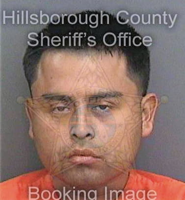 Velascoarcos Juan - Hillsborough County, FL 