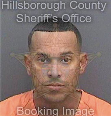 Olivo Edwin - Hillsborough County, FL 