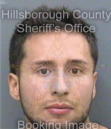 Bohorquezcondo Andres - Hillsborough County, FL 