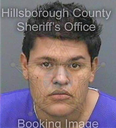 Lobato Carlos - Hillsborough County, FL 