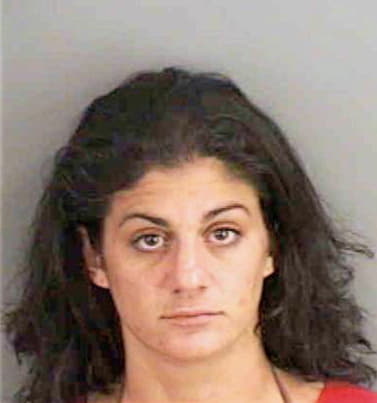 Dirienzo Dianna - Collier County, FL 