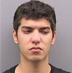 Melendez Segundo - Hillsborough County, FL 