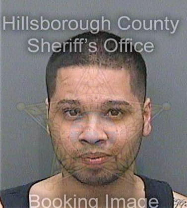 Delrio Harold - Hillsborough County, FL 