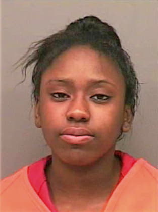 Johnson Jaiamber - Montgomery County, TN 