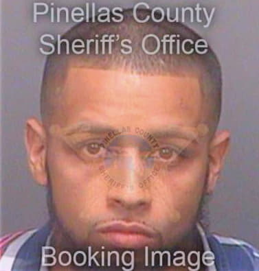 Aguilar Nelson - Pinellas County, FL 