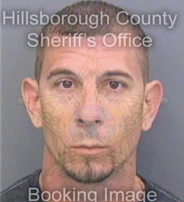 Halverson Timothy - Hillsborough County, FL 