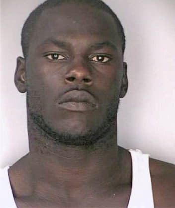 Shine Wayne - Hillsborough County, FL 