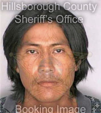 Bravo Lindoro - Hillsborough County, FL 