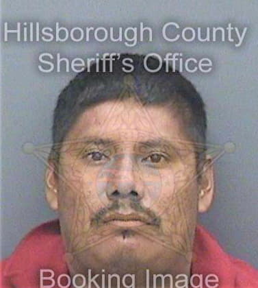 Lopez Raymundo - Hillsborough County, FL 