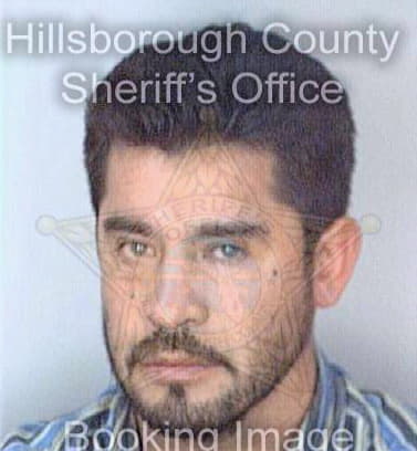 Diaz Miguel - Hillsborough County, FL 