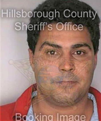 Perez Wilfredo - Hillsborough County, FL 