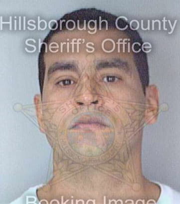 Melendez Anibal - Hillsborough County, FL 