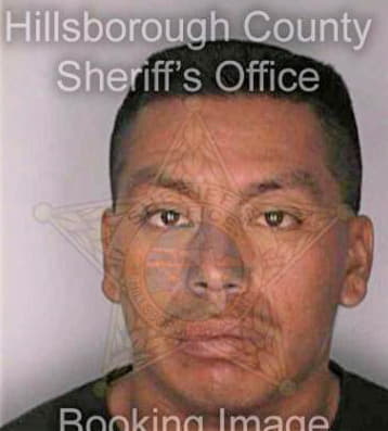 Mendez Odilon - Hillsborough County, FL 