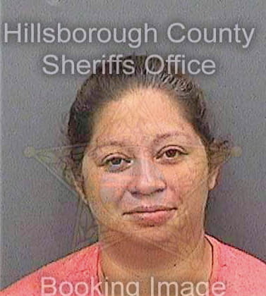 Garcia Olvia - Hillsborough County, FL 