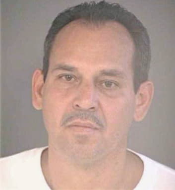 Borges Valentin - Hillsborough County, FL 