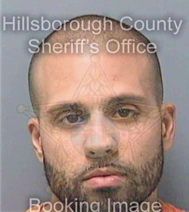 Diezdeandino Anthony - Hillsborough County, FL 