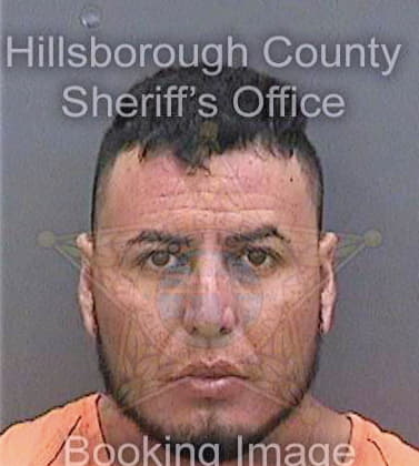 Silverioangeles Diego - Hillsborough County, FL 