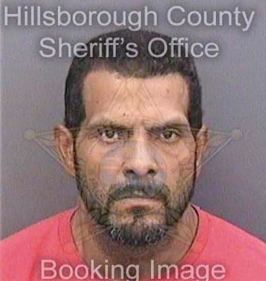 Correa-Guzman Jose - Hillsborough County, FL 