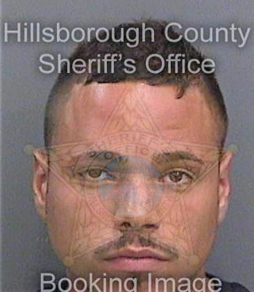 Delgado Juan - Hillsborough County, FL 