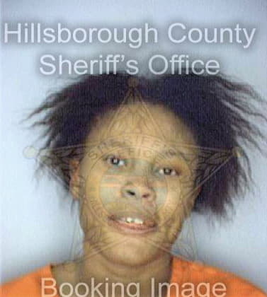 Sims Shawntrece - Hillsborough County, FL 